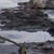 Take Action on Coal Ash